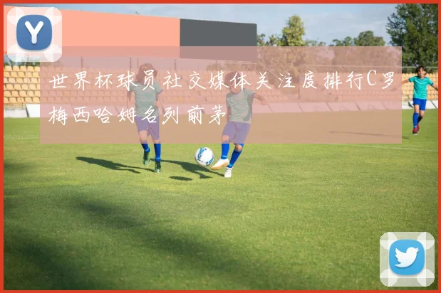 世界杯球员社交媒体关注度排行C罗梅西哈姆名列前茅